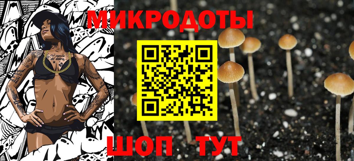 Псилоцибиновые грибы Magic Shrooms Ачхой-Мартан